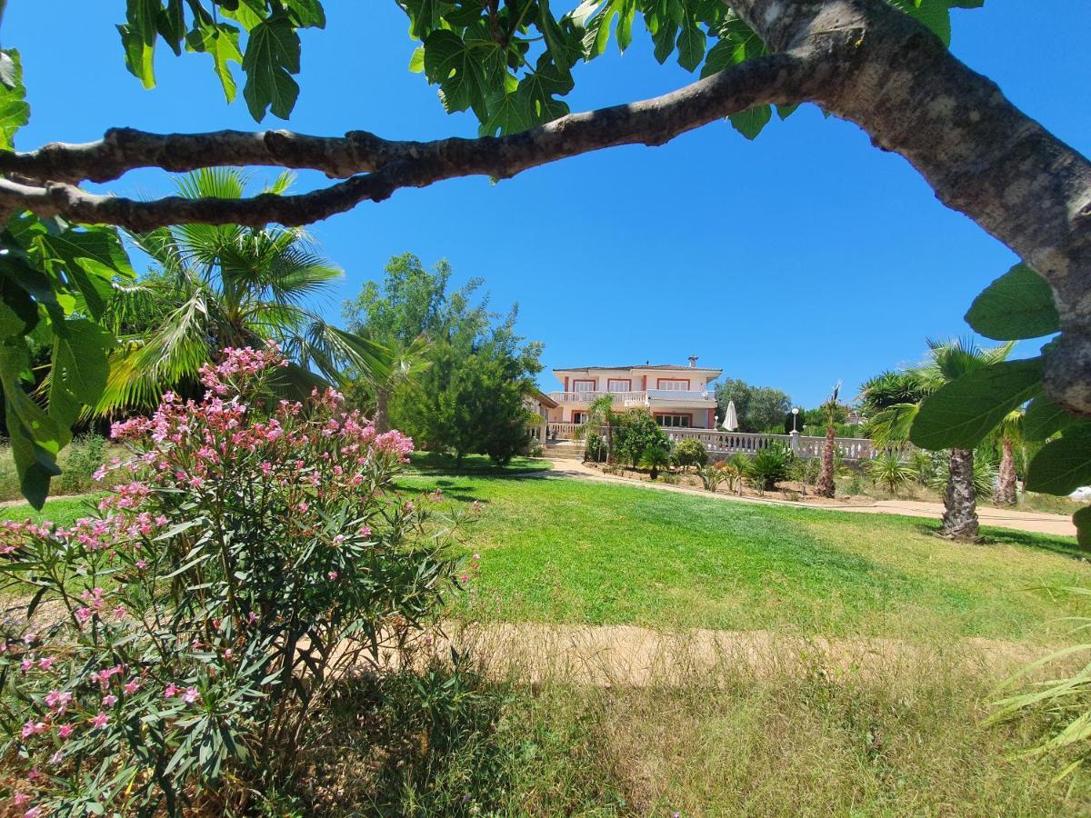 Villa Velo Marratxí Exteriér fotografie